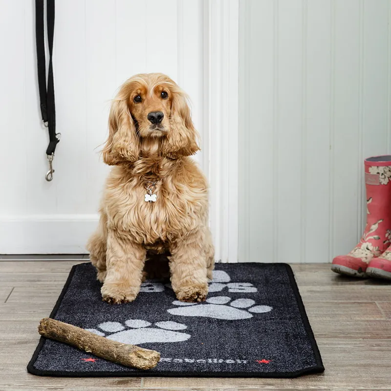 Pet Rebellion Stop Muddy Paws XL Big Paws